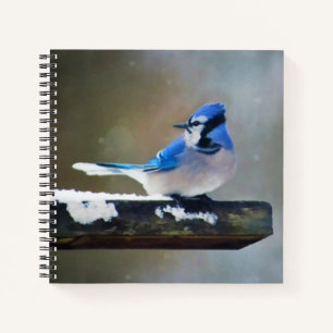 Blue Jay Painting - Original Bird Art Notebook
