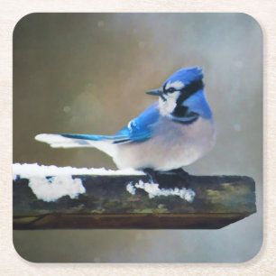 Blue Jay Painting - Original Bird Art Square Paper Coaster