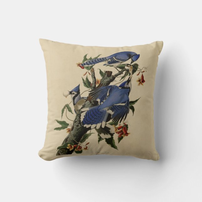 Blue Jay Painting Pillow (Front)