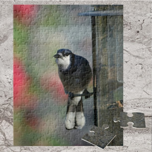 Blue Jay Perched on Feeder Photographic Bird Jigsaw Puzzle