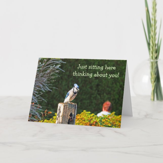 BLUE JAY PERCHED ON POST/"JUST SITTING HERE THINKI CARD (Front)