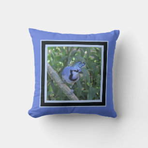 Blue Jay pillow, framed in dark & light blues Cushion