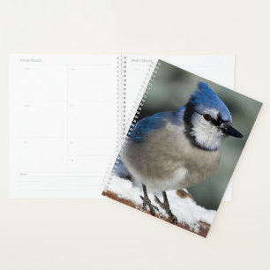 Blue Jay Planner