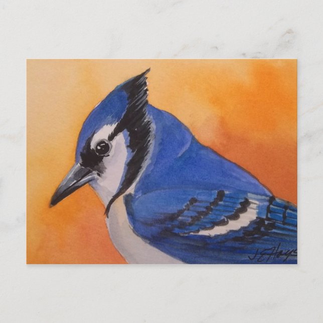 Blue Jay Postcard (Front)