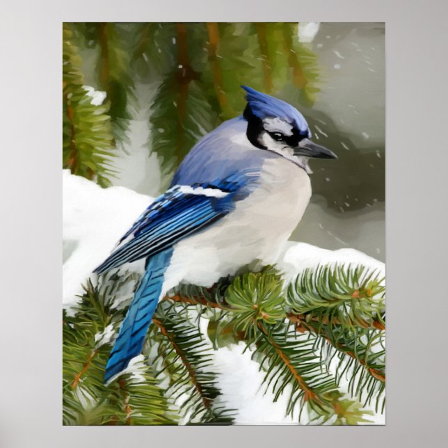 Blue Jay Poster (Front)