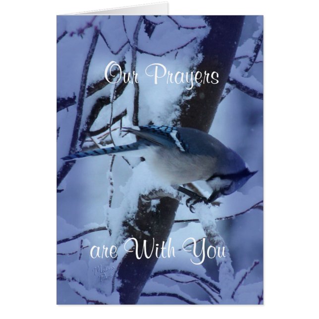 Blue Jay Prayers 7132- customise any occasion (Front)