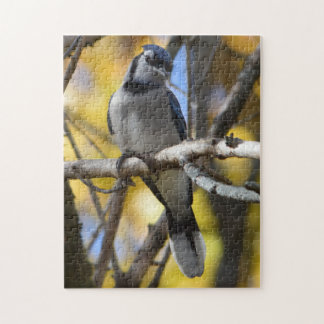 Blue Jay Puzzle