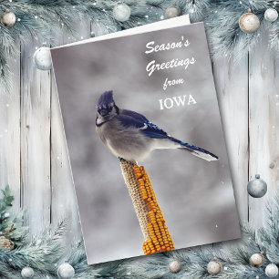 Blue Jay Season's Greetings from Iowa Holiday Card