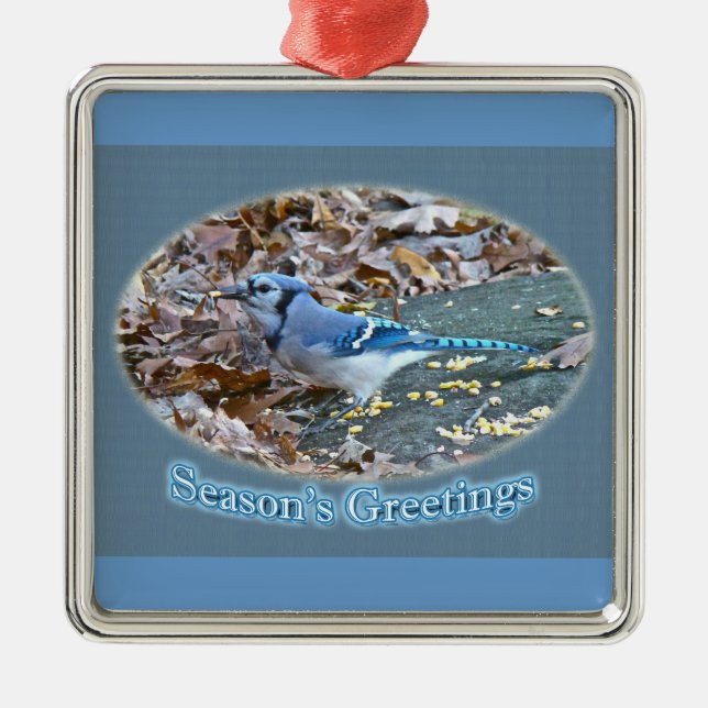 Blue Jay Season's Greetings Ornament (Front)