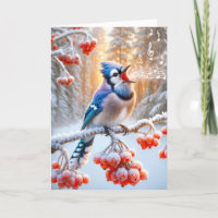 Blue Jay Singing a Song