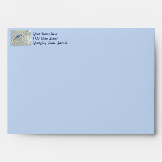 Blue Jay Songbird Envelopes (Front)