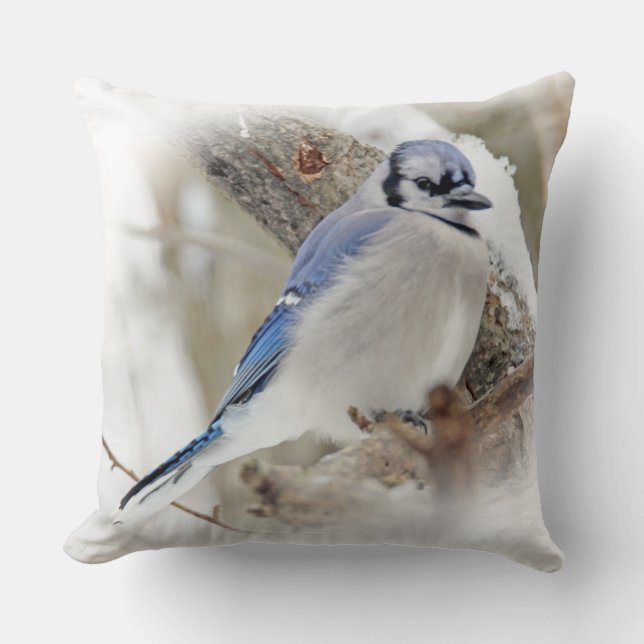 Blue Jay Songbird in Snow Cushion (Front)