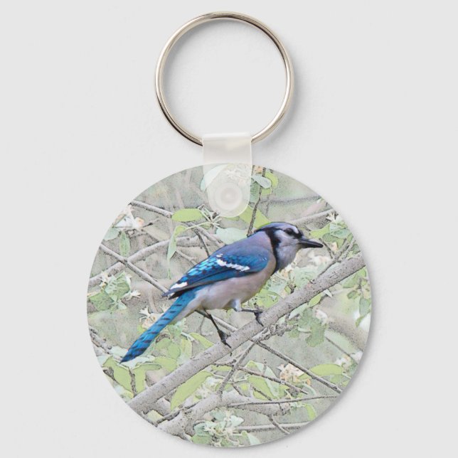Blue Jay Songbird Key Ring (Front)