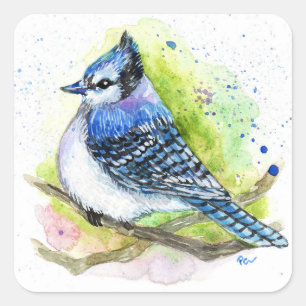 Blue Jay Square Sticker