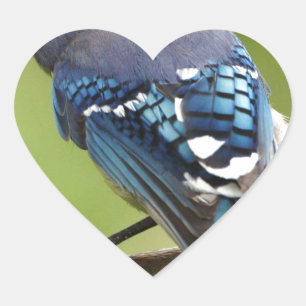 Blue Jay thinking of you friend family mum dad Heart Sticker