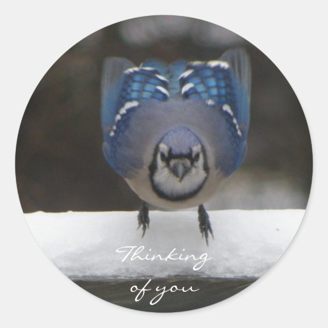 Blue Jay: Thinking Of You Sticker (Front)