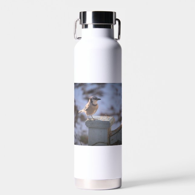 Blue Jay Water Bottle (Front)