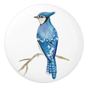 Blue jay watercolor painting ceramic knob