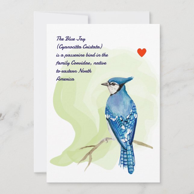 Blue jay watercolor painting invitation (Front)