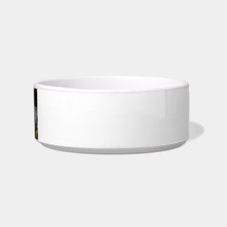 Blue Jay Way Cat Bowl