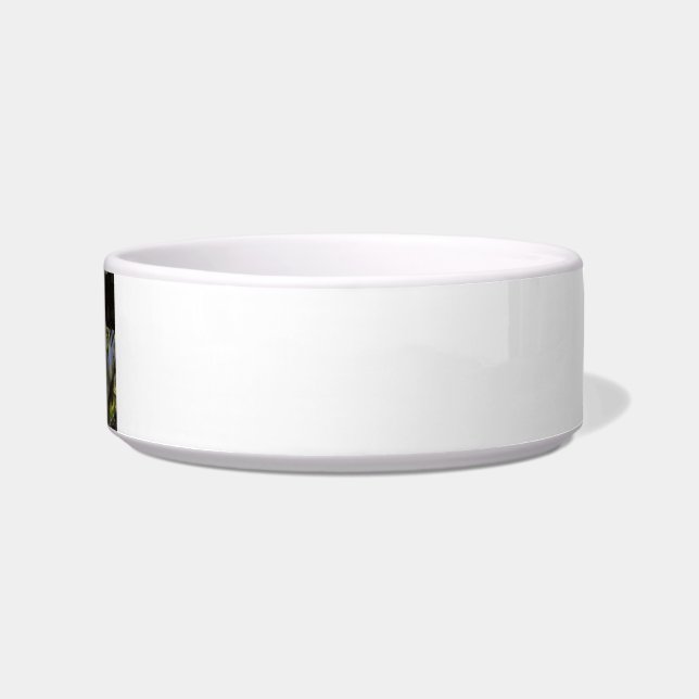 Blue Jay Way Cat Bowl (Front)