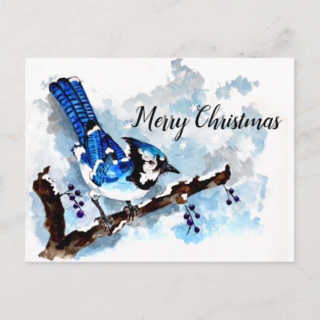 Blue Jay Winter Holiday Card (Front)