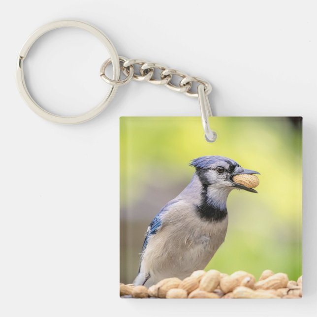 Blue jay with a peanut key ring (Front)