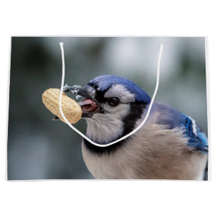 Blue jay with a peanut large gift bag