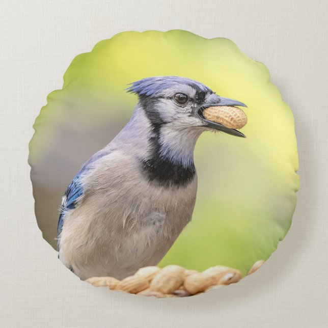 Blue jay with a peanut round cushion (Front)