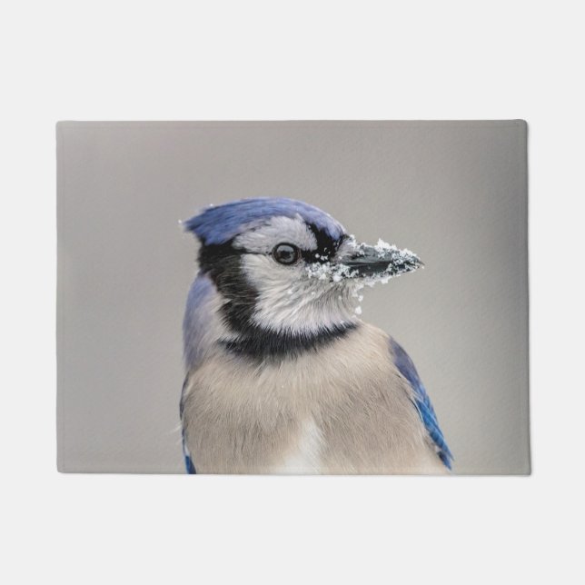 Blue jay with snow on his beak doormat (Front)