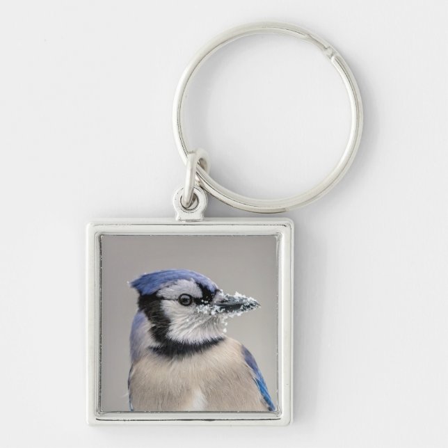 Blue jay with snow on his beak key ring (Front)