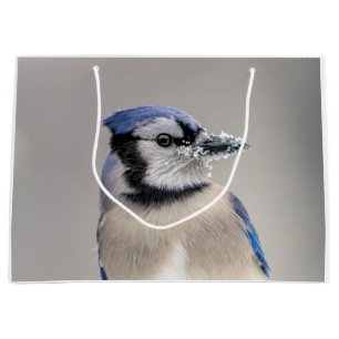 Blue jay with snow on his beak large gift bag