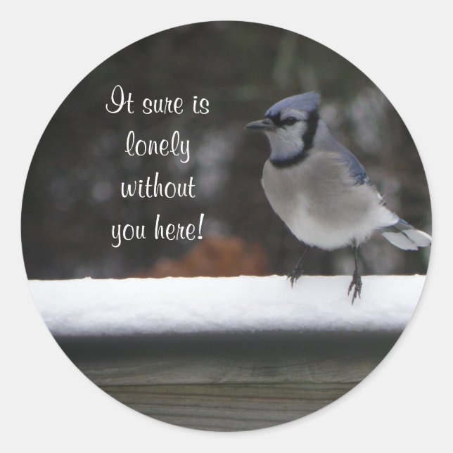 Blue Jay: Without You Here Stickers (Front)