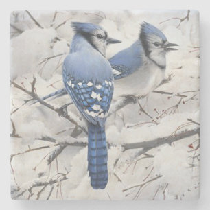 Blue Jays in a Snow Filled Tree Stone Coaster