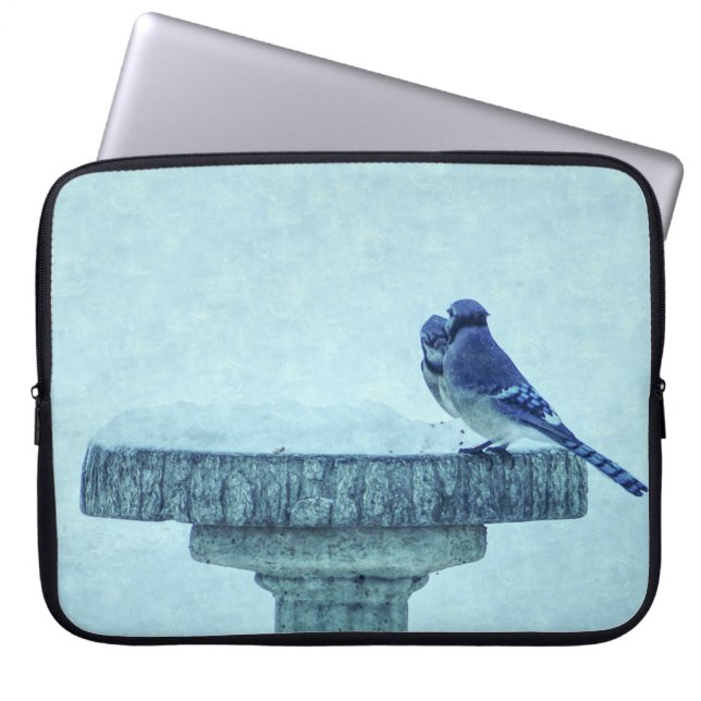 Blue Jays Winter Feeding Painterly Laptop Sleeve (Front)