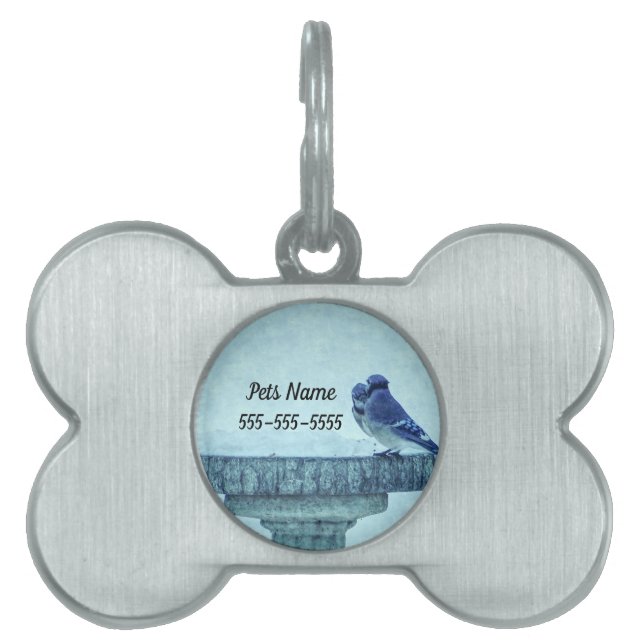 Blue Jays Winter Feeding Painterly Pet Tag (Front)