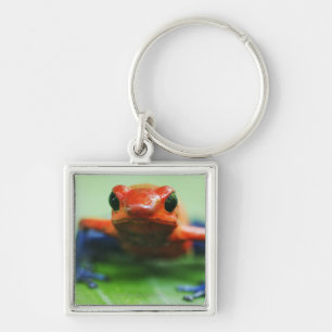 Blue Jean Frog Key Ring