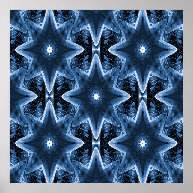 Blue Jean Lilies..... Poster (Front)