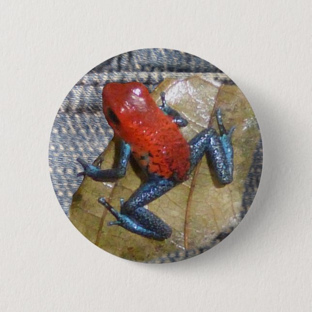 Blue Jeans Frog Button (Front)