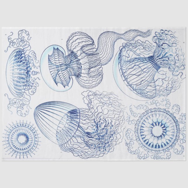 Blue Jellyfish Decoupage  Tissue Paper (Front)