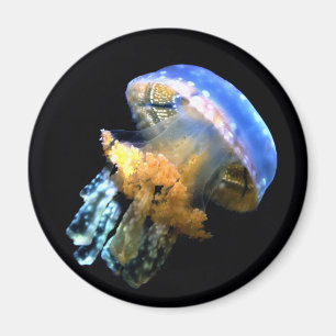 Blue Jellyfish Magnet