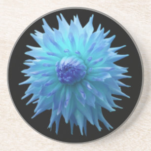 Blue Jennie On Black Sandstone Coaster