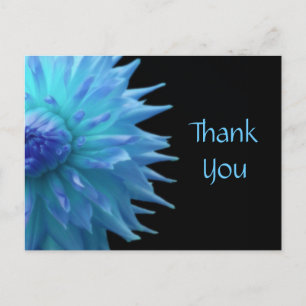 Blue Jennie On Black Thank You Postcard
