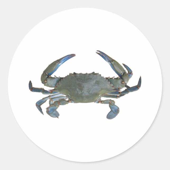 Blue "Jimmy" Crab Classic Round Sticker (Front)