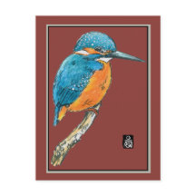 Blue Kingfisher Bird