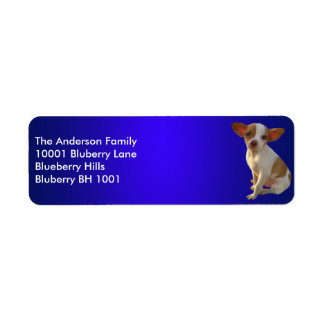 Blue Label Return Address Chihuahua