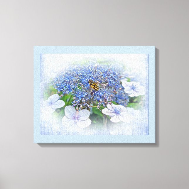 Blue Lace Cap Hydrangea Flowers Canvas Print (Front)
