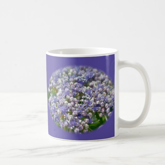 Blue Lace Cap Hydrangea Flowers Coffee Mug (Right)