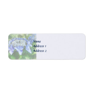 Blue Lace Cap Hydrangea Wedding Products