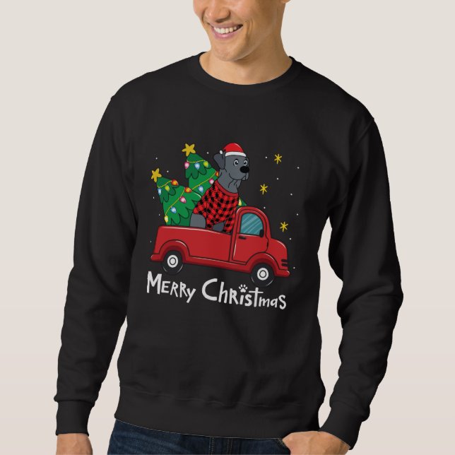 Blue Lace Christmas  Truck  Blue Lacy Sweatshirt (Front)
